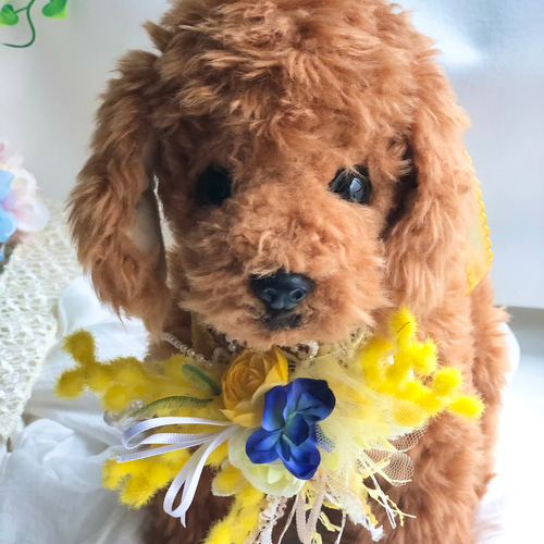 犬お花チョーカー≪ミモザのチョーカー≫ 写真撮影 トリミング 首飾り