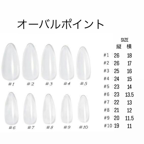 【オーダー】ネイルチップ　ドライフラワー　マグネット ネイルチップ ドライフラワー マグネットネイルチップ #58