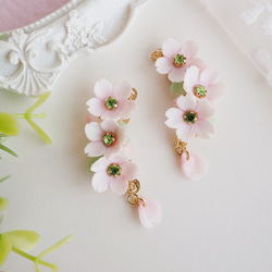 花びら揺れる・３つの桜のピアス 4枚目の画像