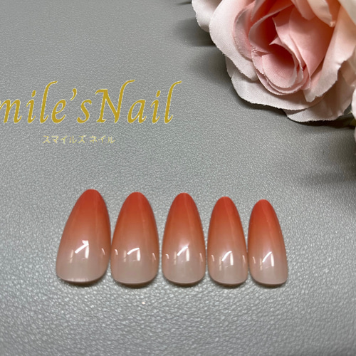 新品&5枚使用　DIAMI グラデーション　チップ　2個セット Amazon | デコラティブネイル ワンタッチジェルネイルチップ