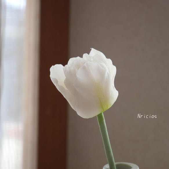 再販）枯れない ミニ チューリップ 白 ✿クレイフラワーNO.GT7-W1