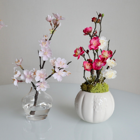 33 枝垂れ桜 | クラフト盆栽美術館 Artcraft Bonsai