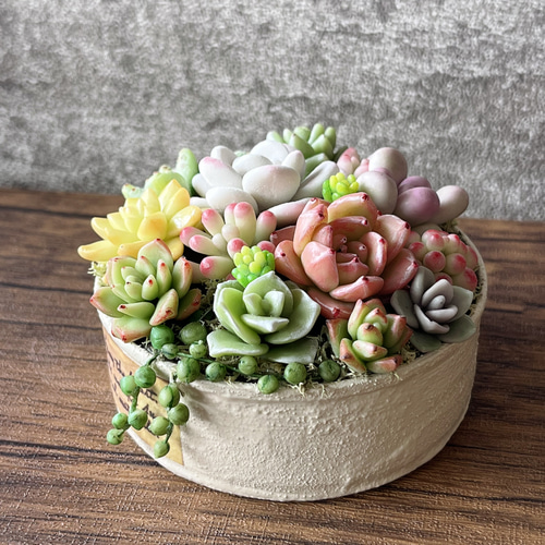 樹脂粘土 多肉植物の小さなリメ缶寄せ植え 多肉植物 kotoriko garden