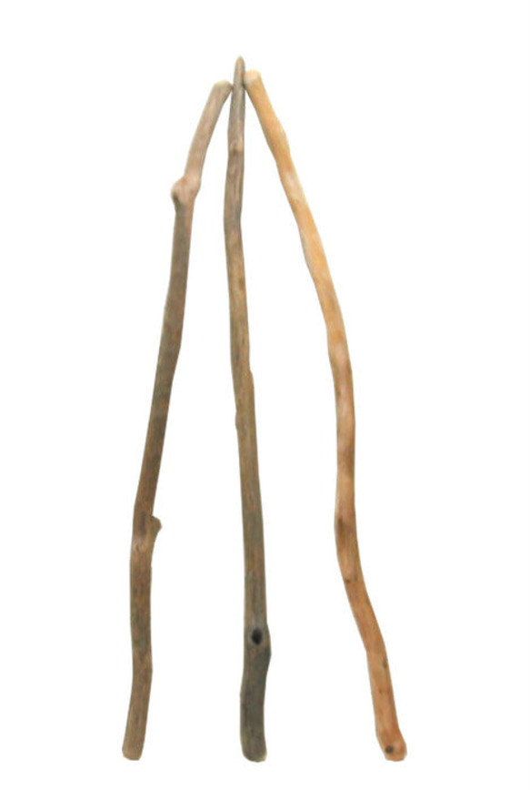「送料無料」流木棒１ｍ以上の３本セット c521 DIY園芸インテリア店舗ディスプレイや撮影用に使える流木棒素材 1枚目の画像