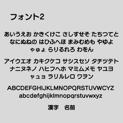 【ノンアイロン】駅名標お名前シール② 11枚目の画像