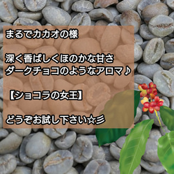 【 豆 】 ブラジル No2 クイーンショコラ 200g 83点 スペシャルティ コーヒー 珈琲 自家焙煎 モヒロコーヒ 3枚目の画像