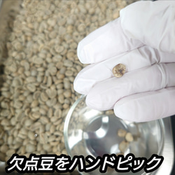 【 粉 】 ブラジル No2 クイーンショコラ 200g 83点 スペシャルティ コーヒー 珈琲 自家焙煎 モヒロコーヒ 3枚目の画像
