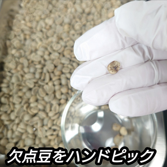 【 粉 】 ブラジル No2 クイーンショコラ 200g 83点 スペシャルティ コーヒー 珈琲 自家焙煎 モヒロコーヒ 3枚目の画像