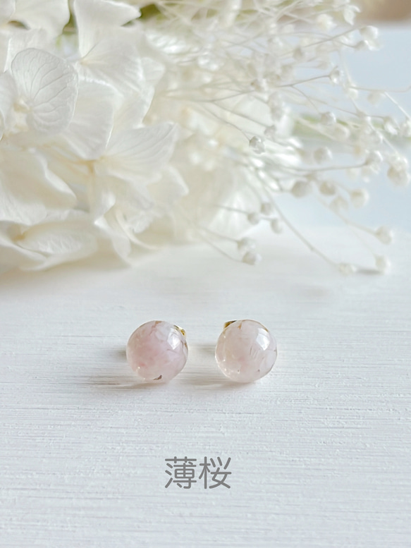 桜貝の一粒ピアス 4枚目の画像