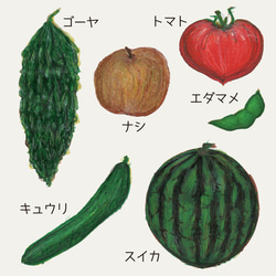 パネルシアター　夏の野菜と果物　〜シルエットクイズ付き〜　カット済【送料無料】 3枚目の画像