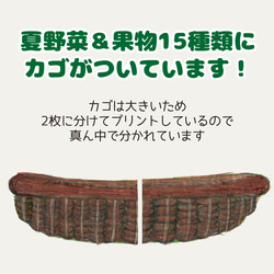 パネルシアター　夏の野菜と果物　〜シルエットクイズ付き〜　カット済【送料無料】 4枚目の画像