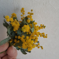 ミモザの花だけを束ねたドライフラワーミニブーケ 母の日  送別 ギフト お祝 スワッグ  誕生日 お礼 スワッグ 2枚目の画像