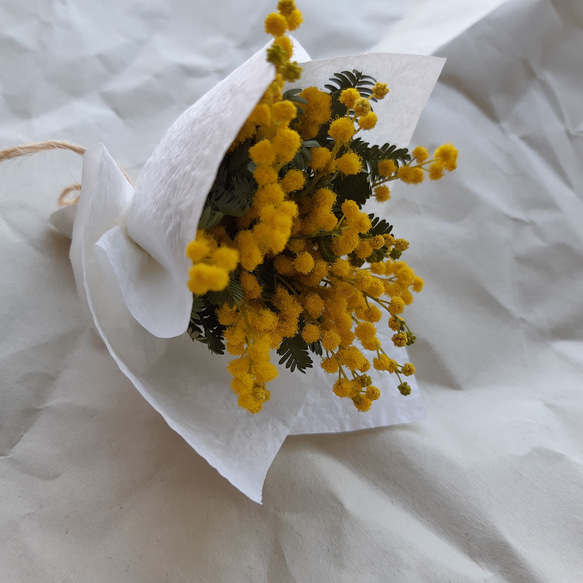 ミモザの花だけを束ねたドライフラワーミニブーケ 母の日  送別 ギフト お祝 スワッグ  誕生日 お礼 スワッグ 5枚目の画像
