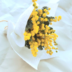 ミモザの花だけを束ねたドライフラワーミニブーケ そのまま置くだけで