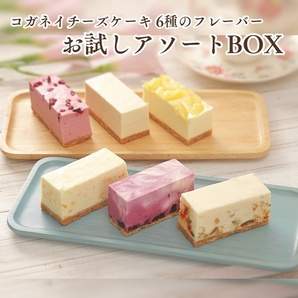 コガネイチーズケーキ6種アソートBOX（6個入）【ギフト】 1枚目の画像