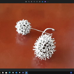 すゞかけの実　花材に、インテリア小物に 11枚目の画像