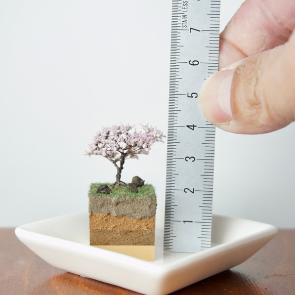 テラリウムブロック-桜- 4枚目の画像
