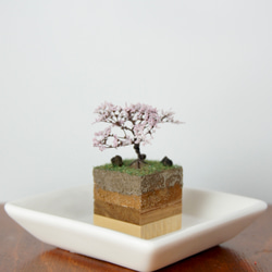 テラリウムブロック-桜- 3枚目の画像