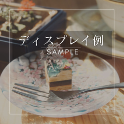 テラリウムブロック-桜- 6枚目の画像