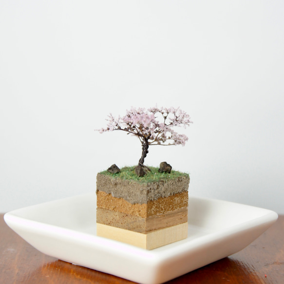 テラリウムブロック-桜- 2枚目の画像