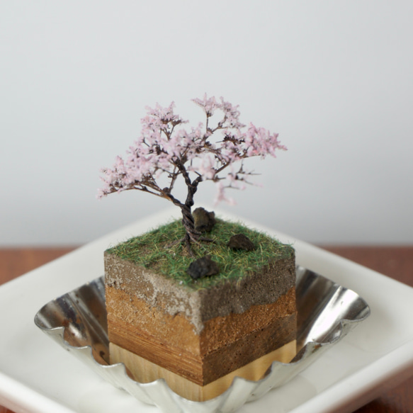テラリウムブロック-桜- 1枚目の画像