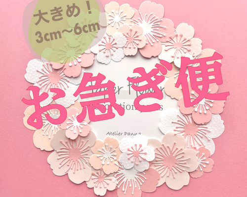 4bf6376e5d32ab8bc56c56f2696964