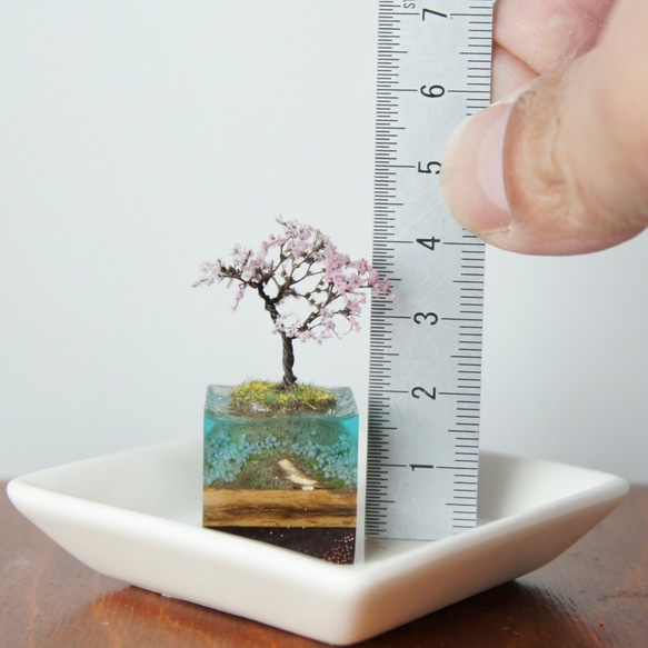 テラリウムブロック-菜の花島- 4枚目の画像