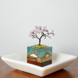 テラリウムブロック-菜の花島- 3枚目の画像