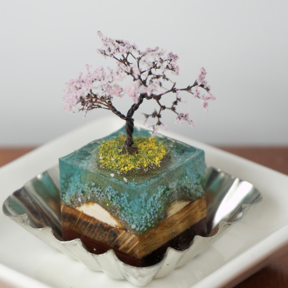 テラリウムブロック-菜の花島- 1枚目の画像