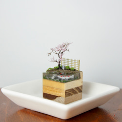 テラリウムブロック-春の日本庭園- 2枚目の画像