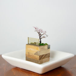 テラリウムブロック-春の日本庭園- 3枚目の画像