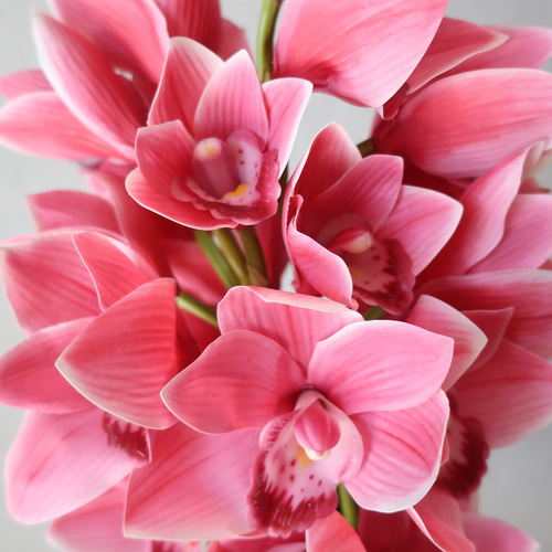 シンビジウムのウェディングブーケ・ブートニア【pink】/アーティ