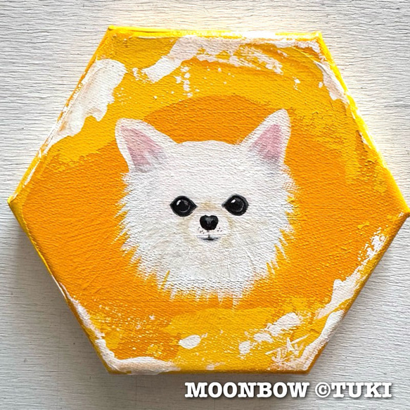 原画]ミニキャンバスアート「白チワワ」(送料無料) 絵画 TUKI 通販