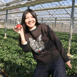 【Creema限定 春の福袋】苺と苺のお花のブローチセット 4枚目の画像