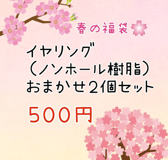 春の福袋 イヤリング(ノンホール樹脂)おまかせ2点入り 1枚目の画像