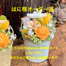 春色新作2024 春の訪れを告げる♡ミモザスワッグ♡ スワッグ little