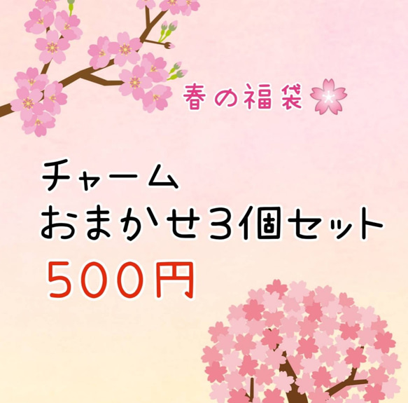 春の福袋 チャームおまかせ３個入り 1枚目の画像