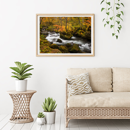 紅葉の奥入瀬渓流 インテリアアートポスター IVYL-045 渓谷 青森
