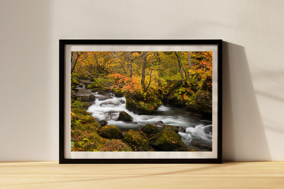 紅葉の奥入瀬渓流 インテリアアートポスター IVYL-045 渓谷 青森 紅葉