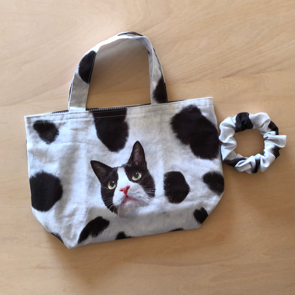 ちょこっとバッグ・シュシュのセット ハチワレ猫 トートバッグ