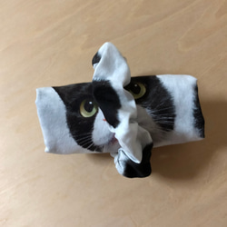 ちょこっとバッグ・シュシュのセット　ハチワレ猫 6枚目の画像