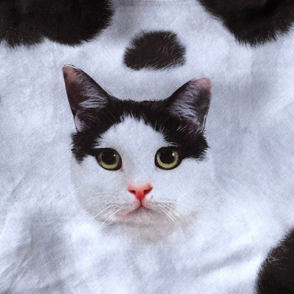 ちょこっとバッグ・シュシュのセット　ハチワレ猫 14枚目の画像