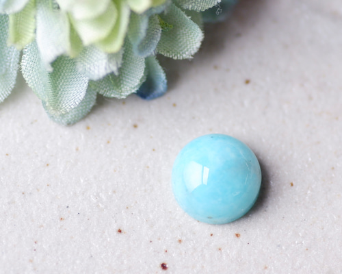 アマゾナイト＊ラウンド・カボション・カット＊4.32ct＊10.0mm＊FAM  