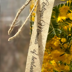 【春の福袋】「ミモザハーバリウム」「グリーンフレーム」春の植物インテリアセット◆AROMAスプレー、精油付 4枚目の画像