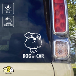 DOG IN CAR/シュナウザーC カッティングステッカー KIDS IN CAR・BABY IN CAR 2枚目の画像