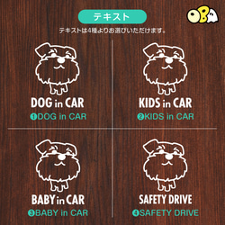 DOG IN CAR/シュナウザーC カッティングステッカー KIDS IN CAR・BABY IN CAR 4枚目の画像