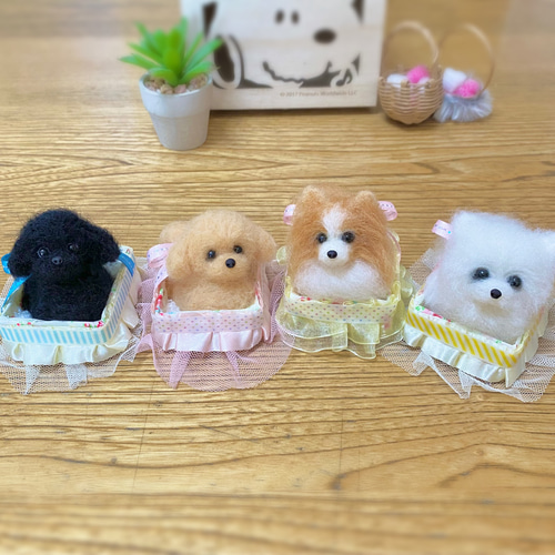 パピヨン オーダー 羊毛フェルト - YURI-FELT'S GALLERY | minne