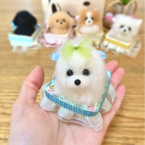 羊毛フェルト 販売済み チワワちゃんとマルチーズ 羊毛フェルト