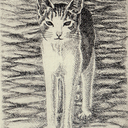 猫・2024/銅版画(作品のみ） 2枚目の画像