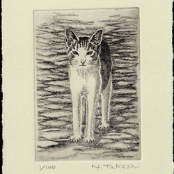 猫・2024/銅版画(額あり） 4枚目の画像